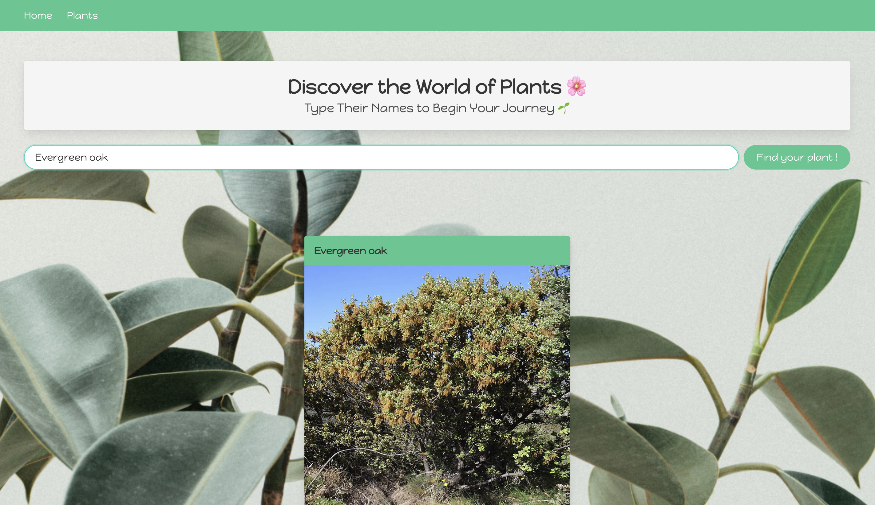 Plants Website visual